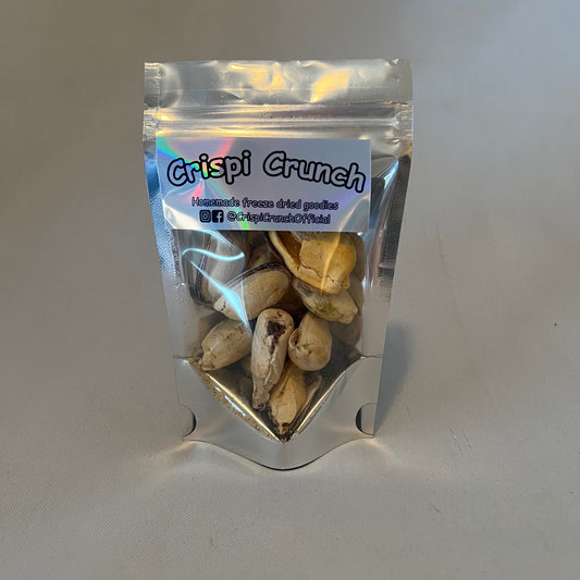 Cooked Mussels