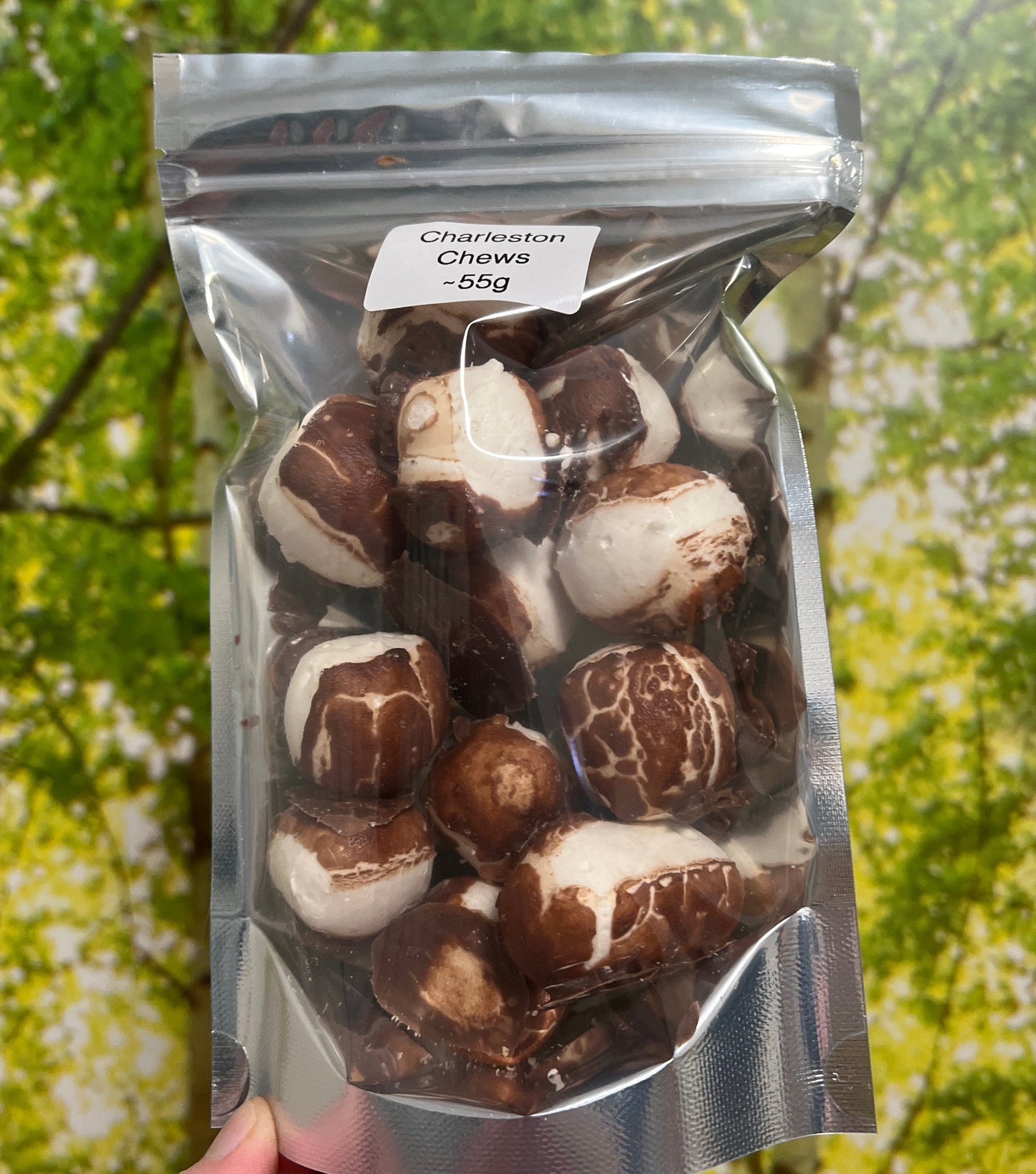 Charleston Chews
